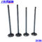 after market diesel 3126 C7 Engine Intake Valve And Exhaust Valve Stock Available